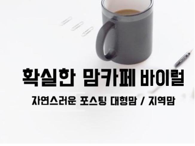 맘카페 바이럴 포스팅 정확하게 배포